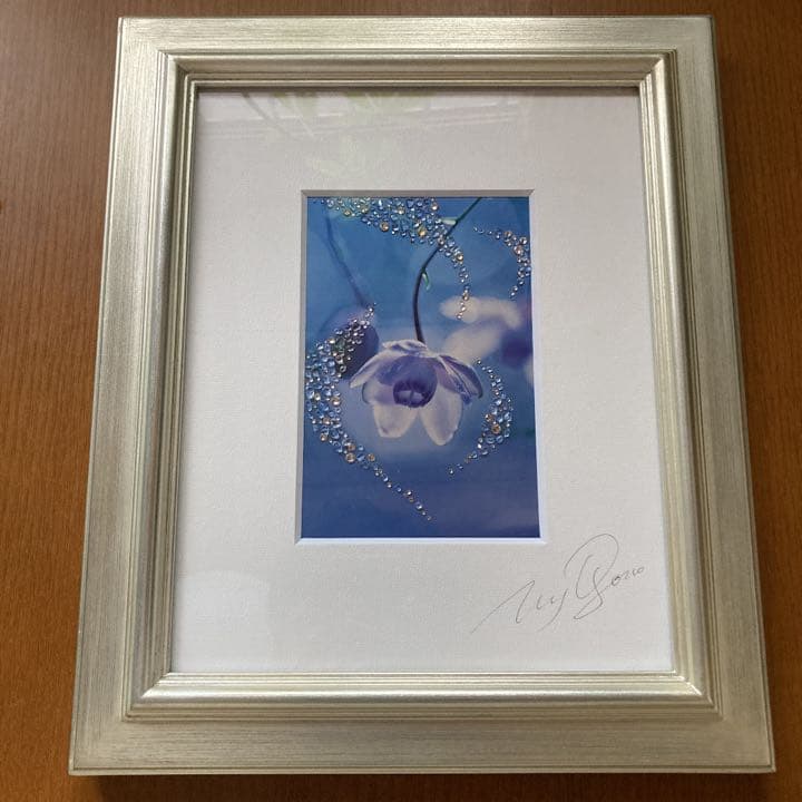 作者不明 写真 アート フラワー ブルー 額付