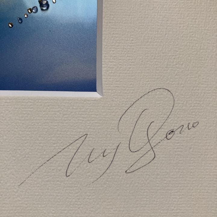 作者不明 写真 アート フラワー ブルー 額付