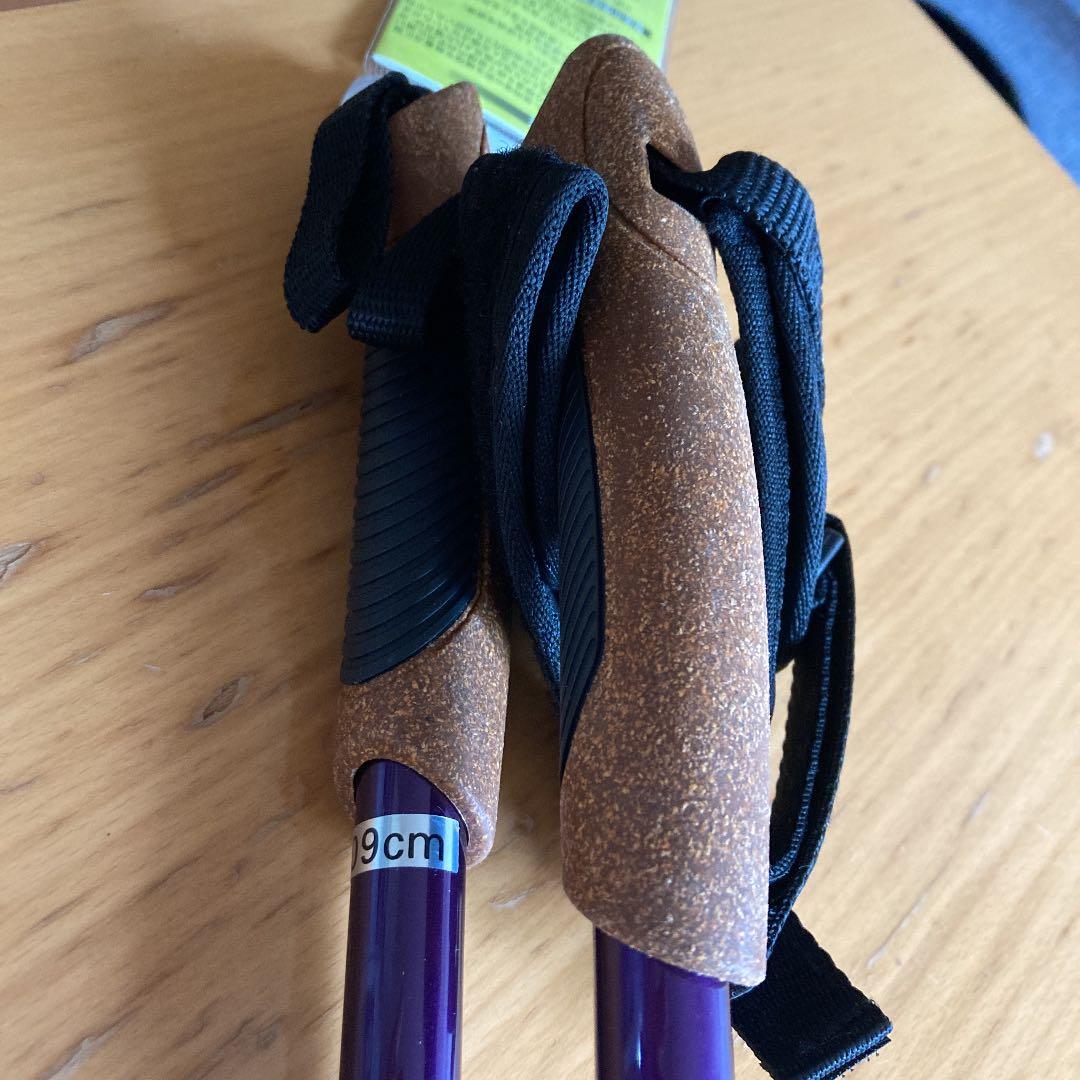 ノルディックウォーキングポール　2本セット