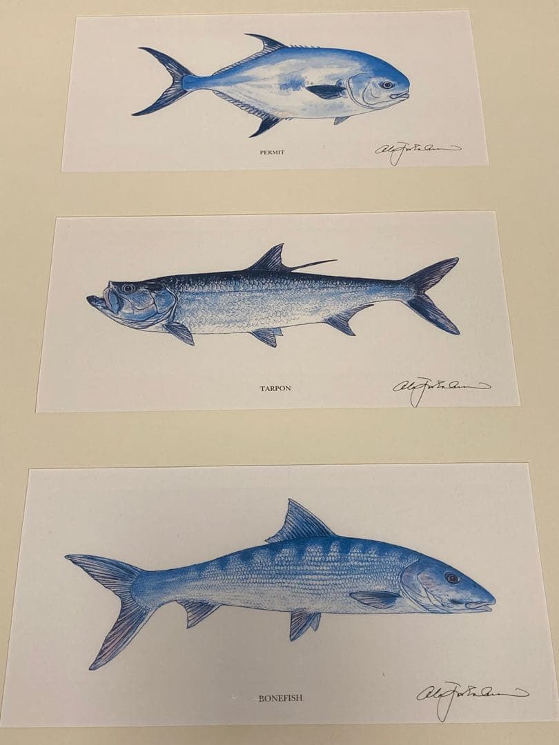 saltwater flyfishing グランドスラムリトグラフ