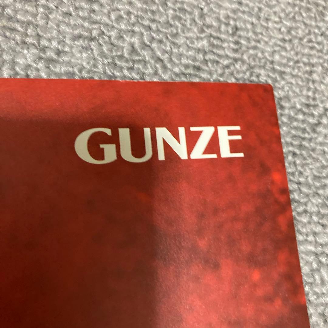 井川遥　BODY WILD FIT BOXER ポスター　美品　グンゼ　２