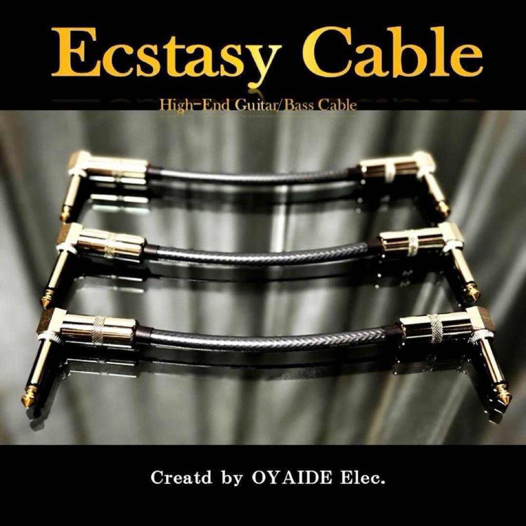 【数量限定】フラッグシップ パッチケーブル「20cm3本」［新品］