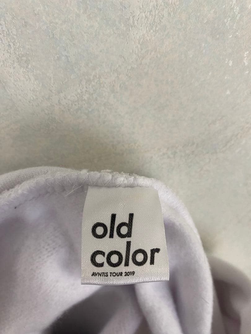 AVNTIS TOUR 2019 old color ビッグシルエット パーカー