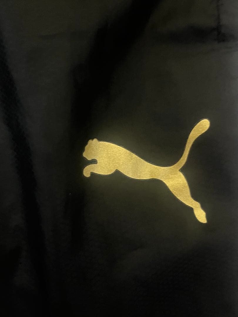 神村学園 ピステ