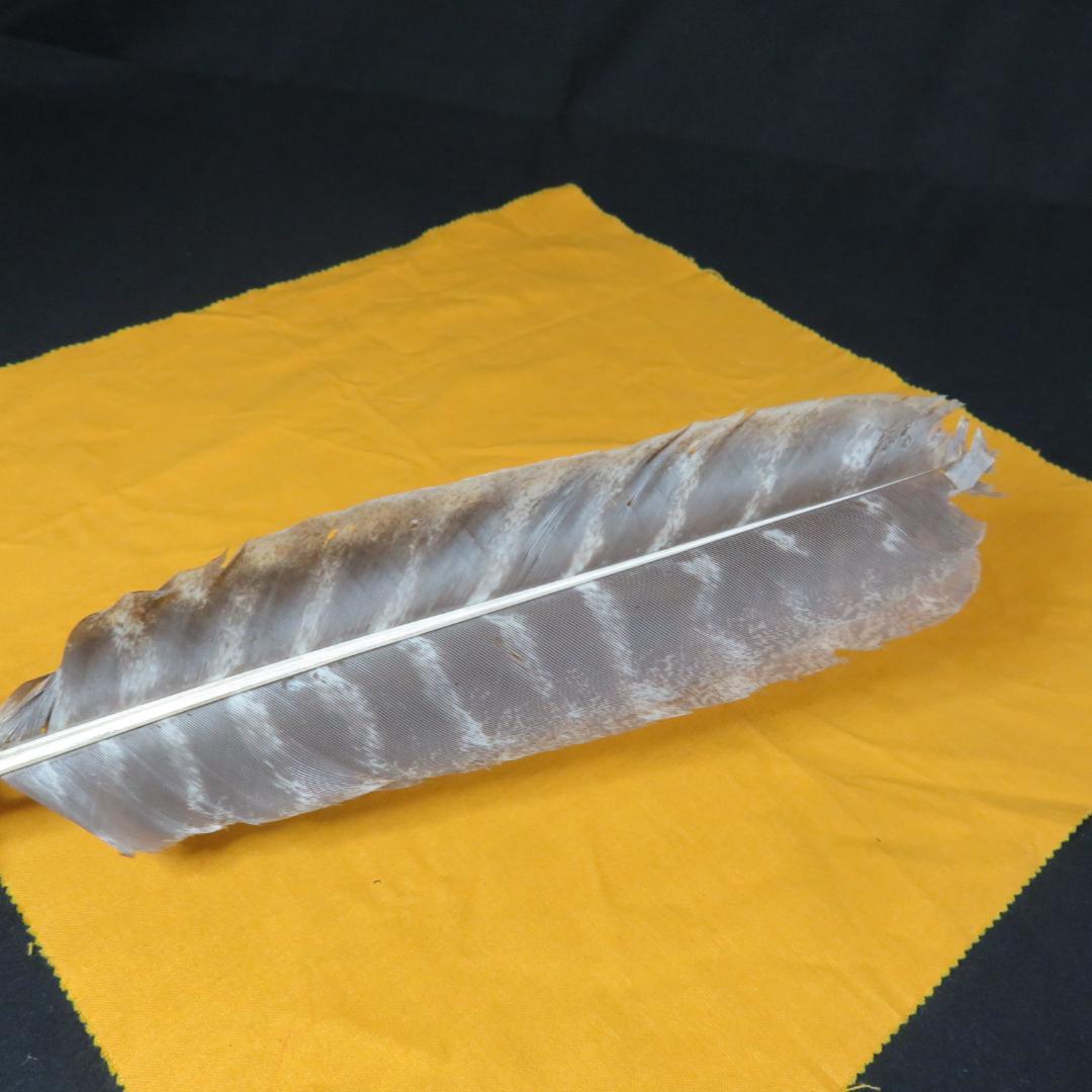 羽箒 羽根 茶道具 コウ鶴 茶器 風炉