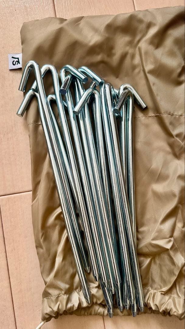 サバティカル　モーニンググローリーTCインナー付