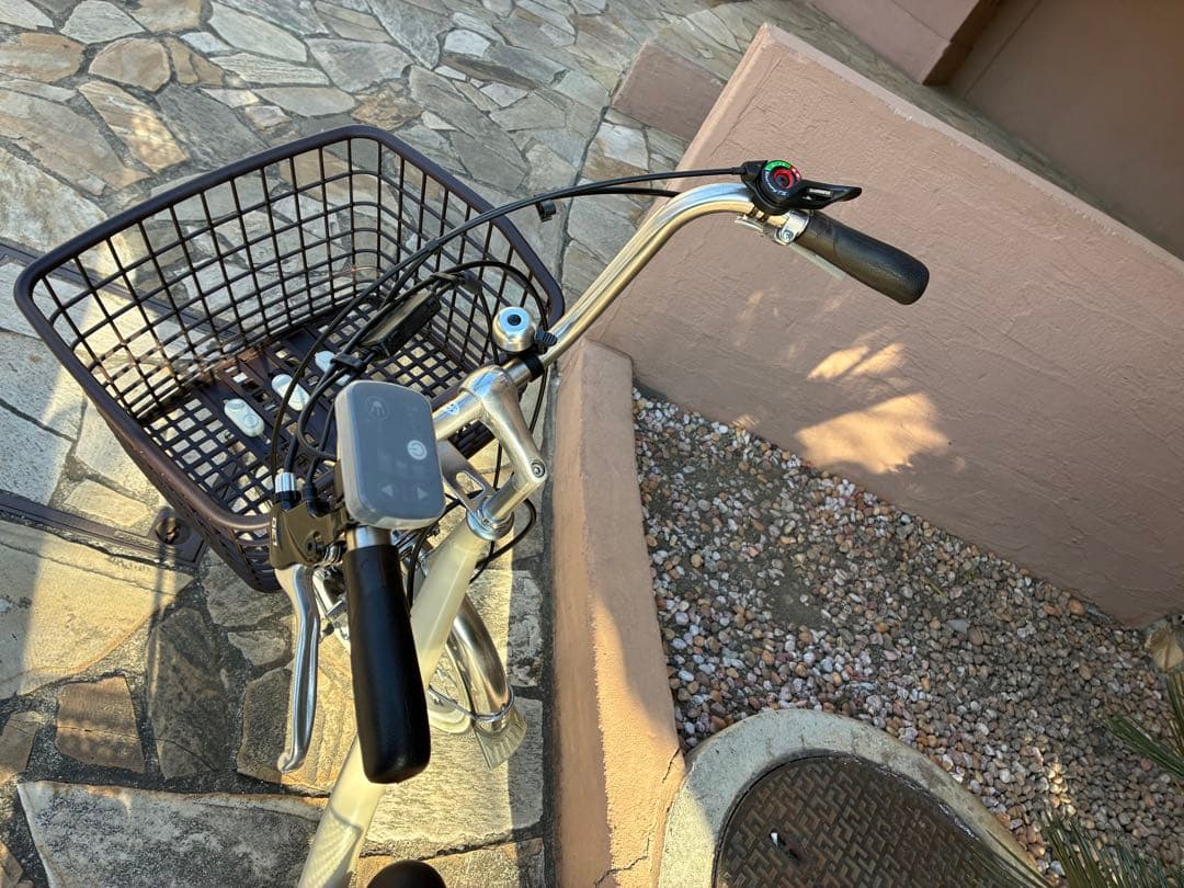 2025年3月購入品⭐︎電動アシスト自転車peltech tdr-163三輪自転車