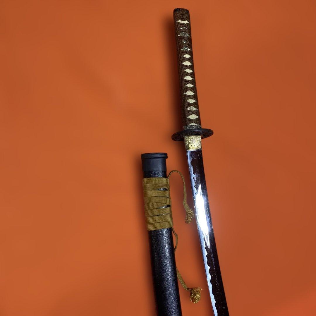 格安上質模造刀 茶柄 雲龍楕円鍔 黒梨地鞘