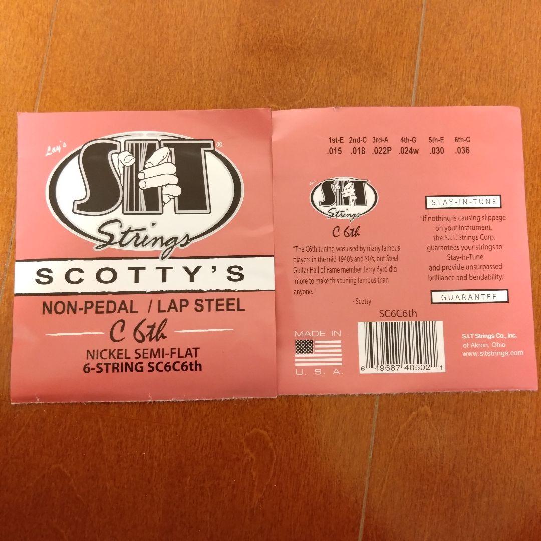 【即演奏セット付き！】グヤトーン ラップ スチールギター ハワイアン カントリー