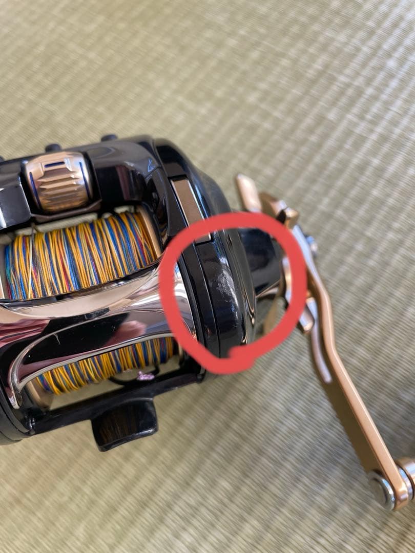 DAIWA SEABORG G300J ダイワ シーボーグ 21 G300J