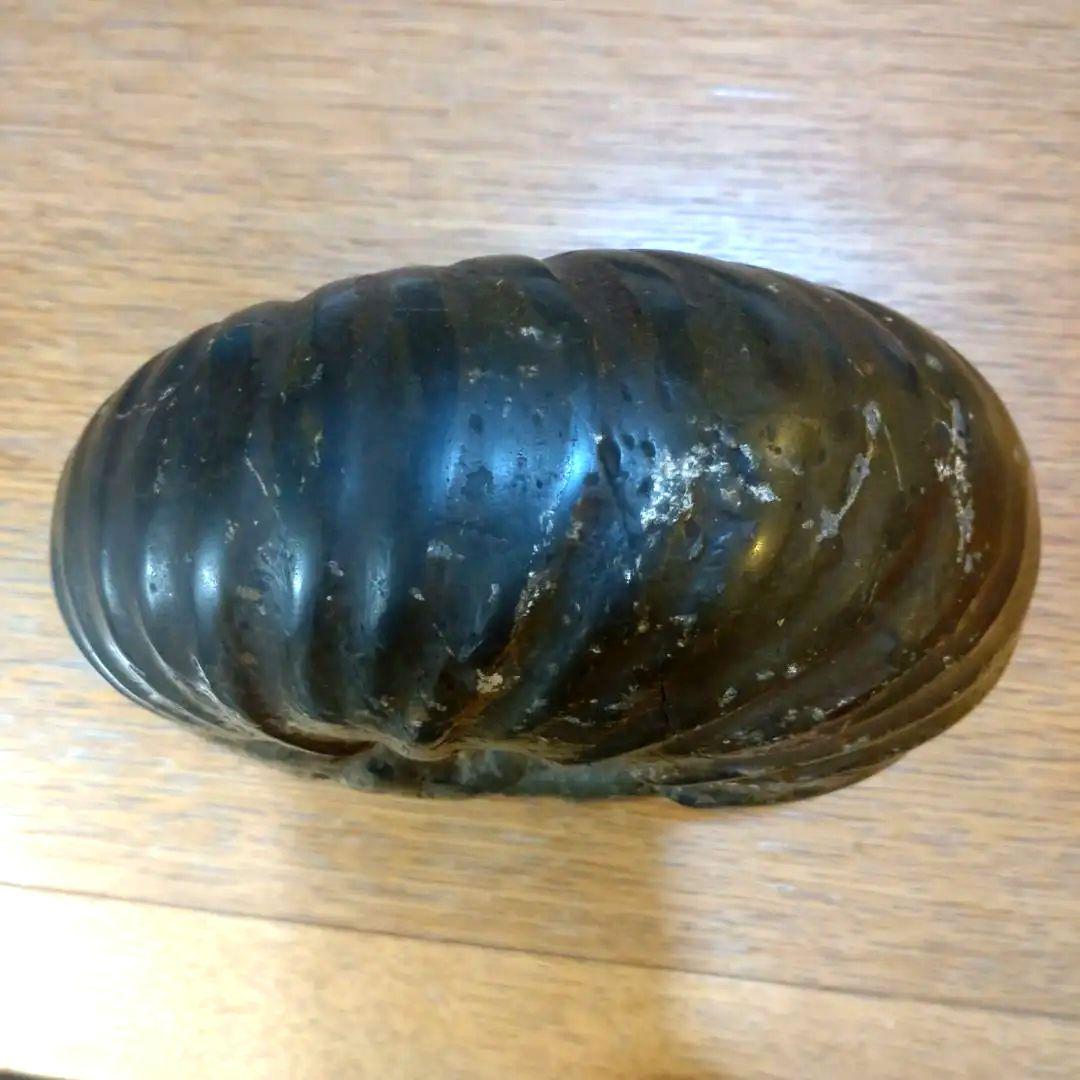 アンモナイト　北海道産