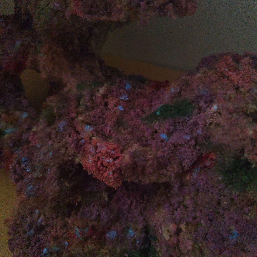 【光る新商品】アク抜き不要 人工ライブロック 60cm海水水槽用 レプリカ 蛍光