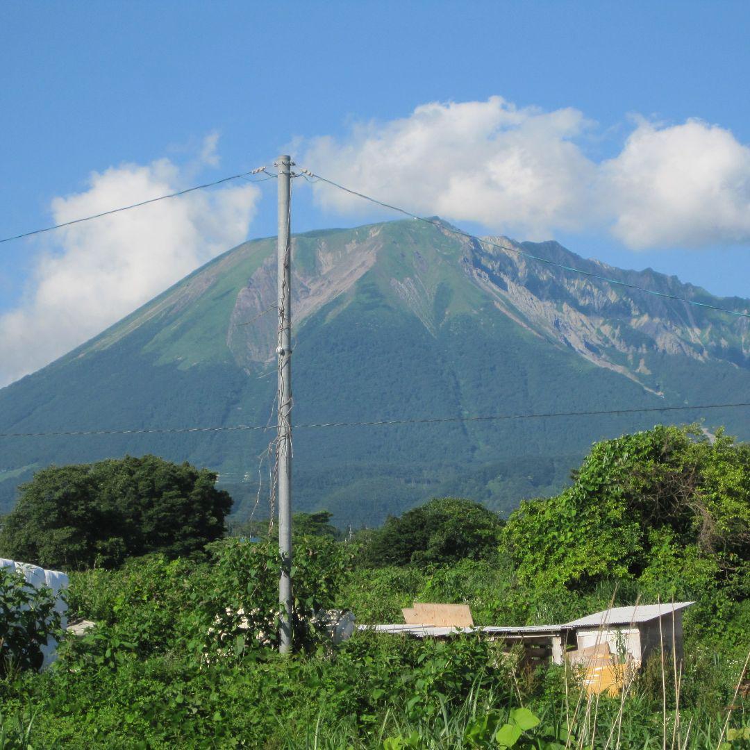 ✡️アカシア蜂蜜５本&レンゲ蜂蜜蜜５本　生はちみつ　非加熱ハチミツ