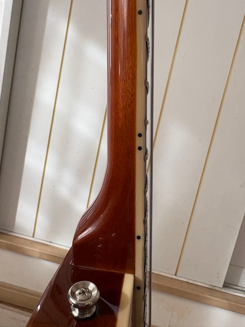 バッカス　レスポールモデル　Live road