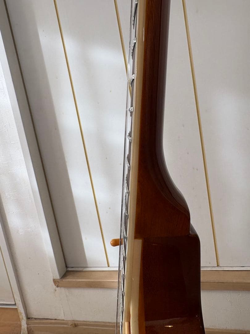 バッカス　レスポールモデル　Live road