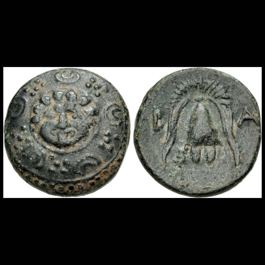 【希少】 キプロス島 サラミス 紀元前331年 青銅硬貨 古代