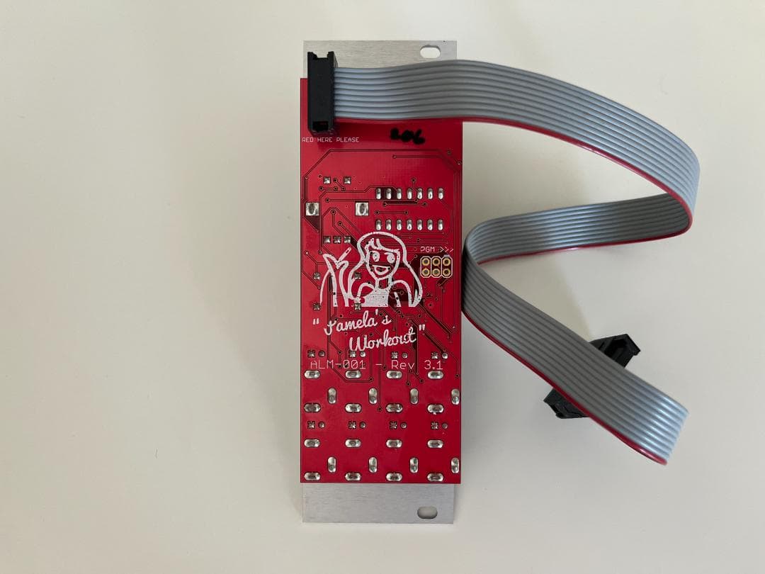 鍵盤楽器 Pamela's Workout - ALM Busy Circuits