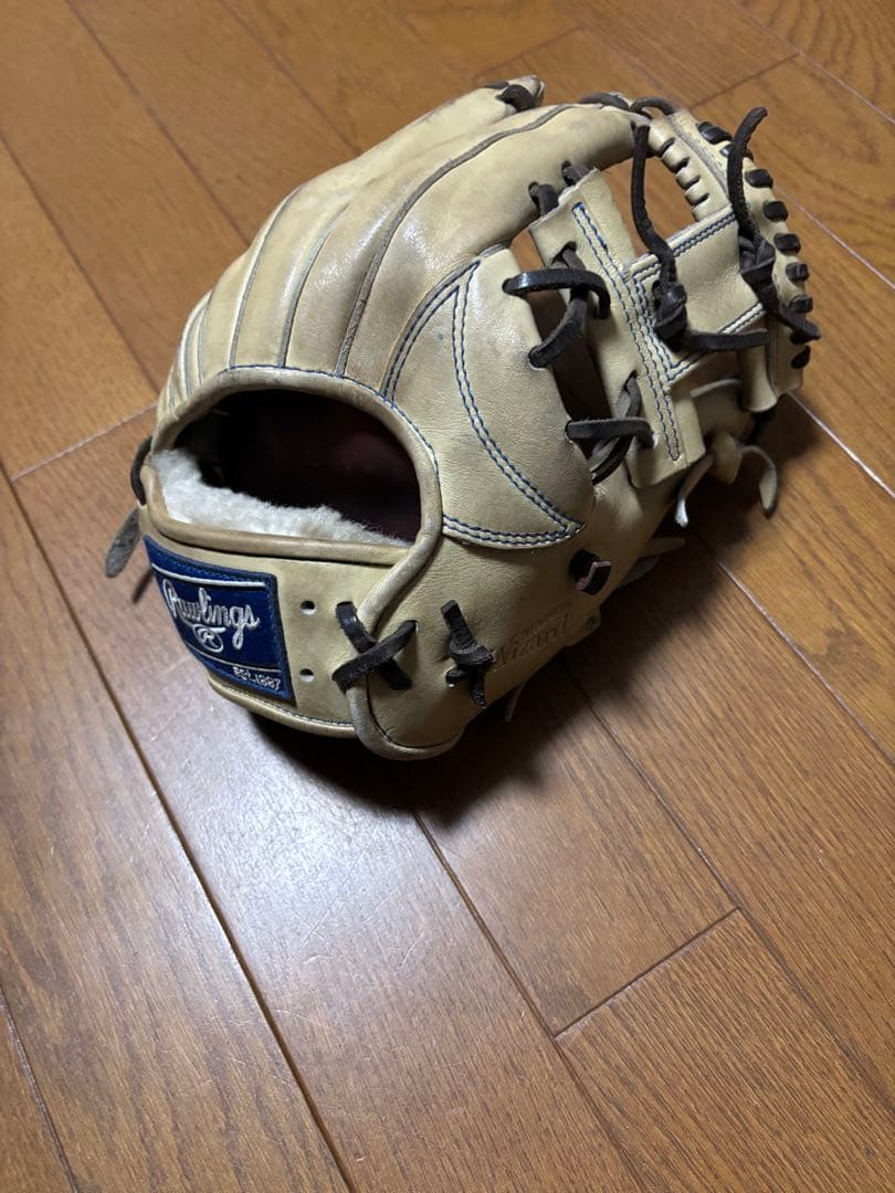 入力中…　硬式グローブローリングス　プロプリファード ウィザード01