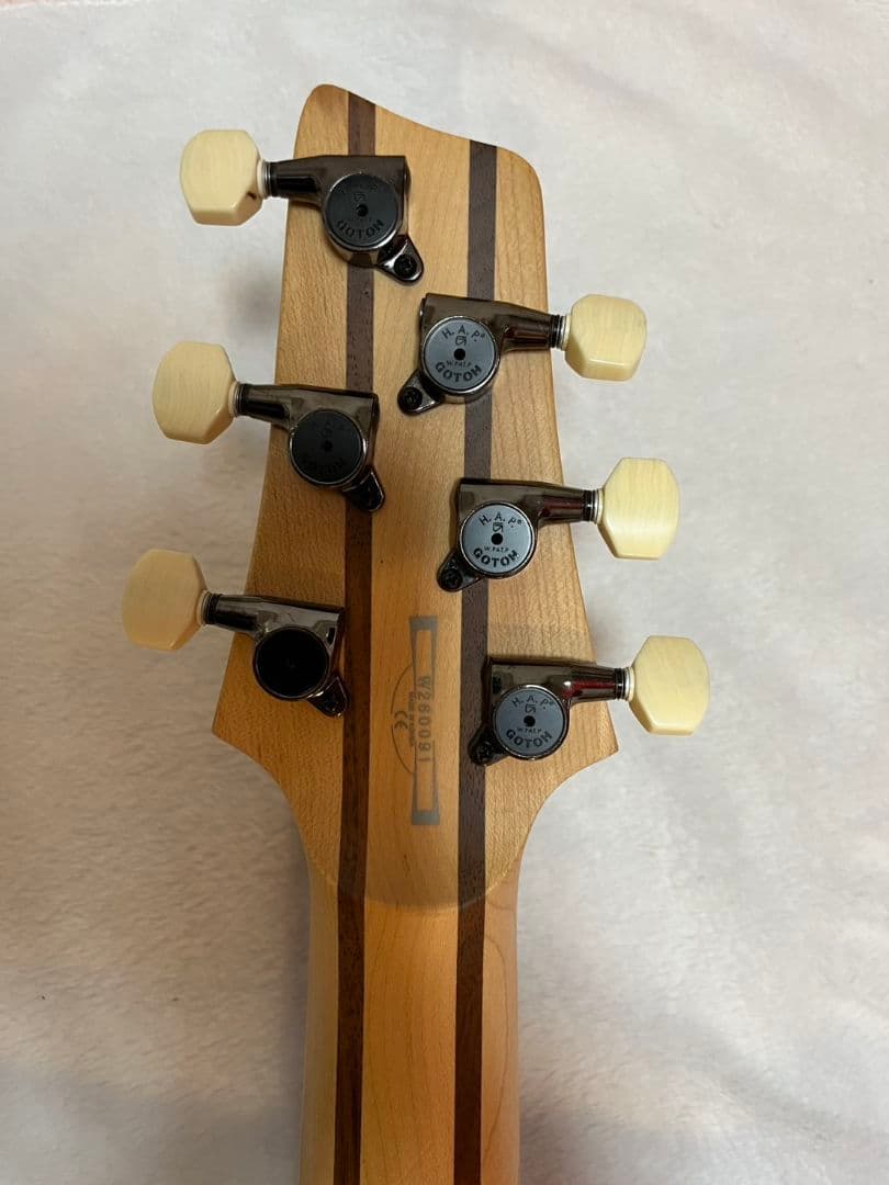 ギター Ibanez sz4020