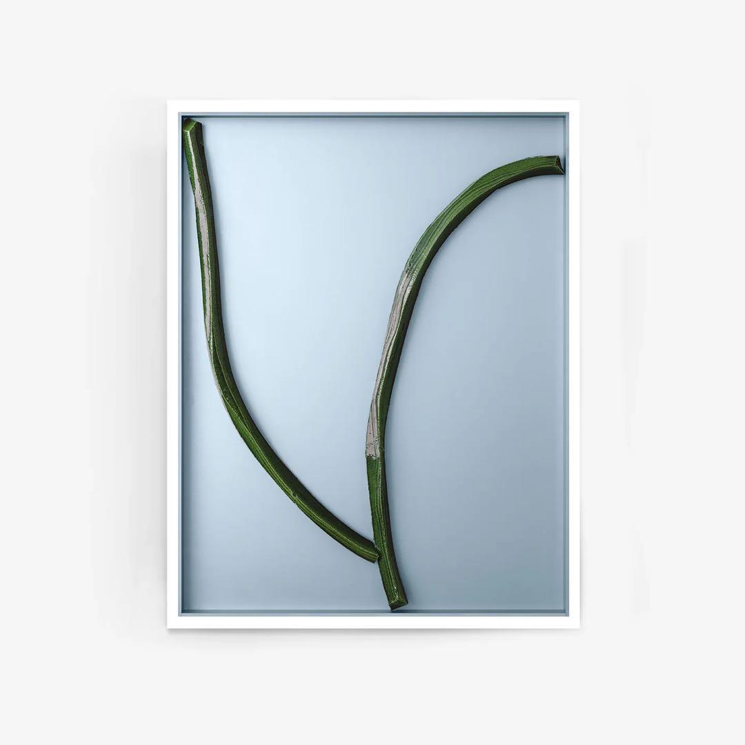 Ronan Bouroullec Bas Relief 7 国内未入荷ポスター