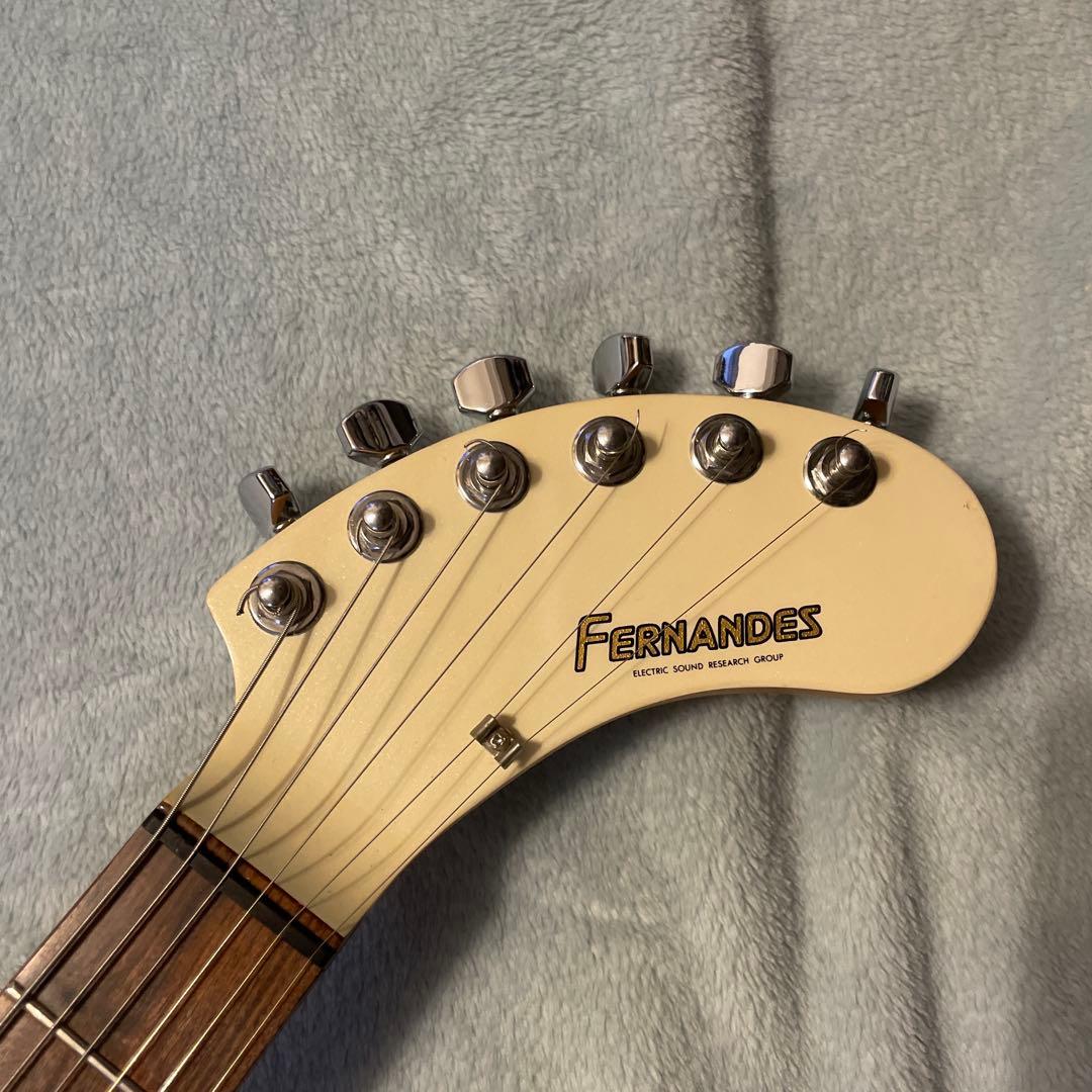 DIGI-ZO Fernandes コンデンサ交換済み