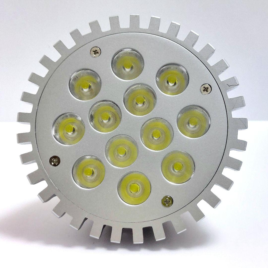 アクアリウムライト