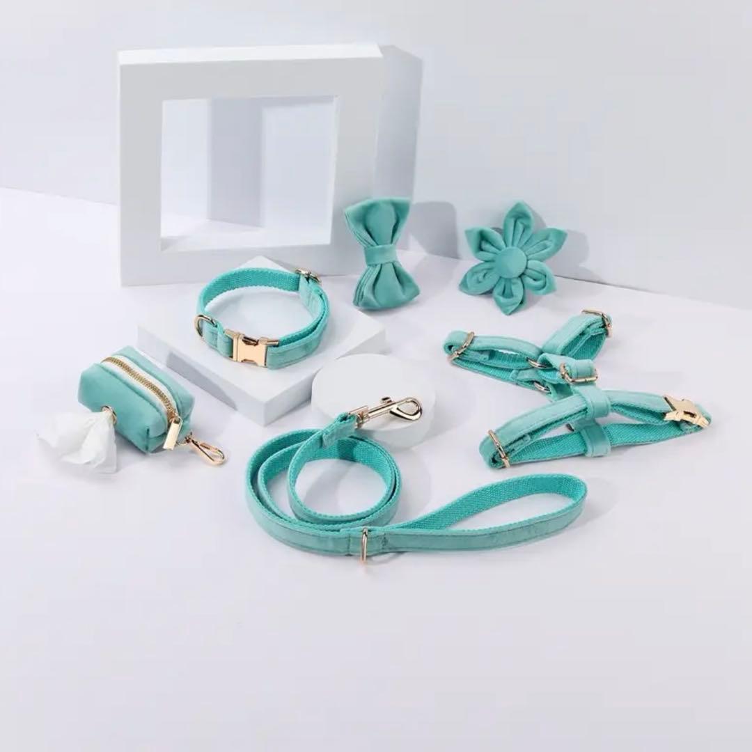 オーダー 名前 首輪 ハーネス リード ベルベット パープル ターコイズ