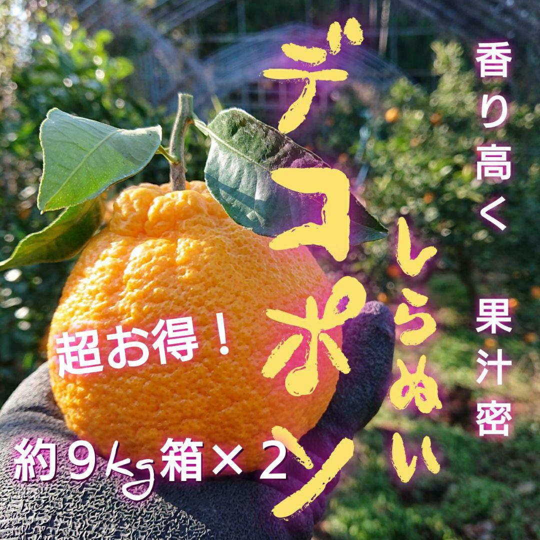 超お得な18kg 熊本産不知火デコポン 味恋みかん