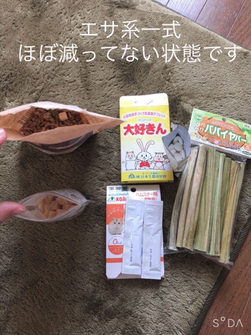 ハムスター飼育セット一式