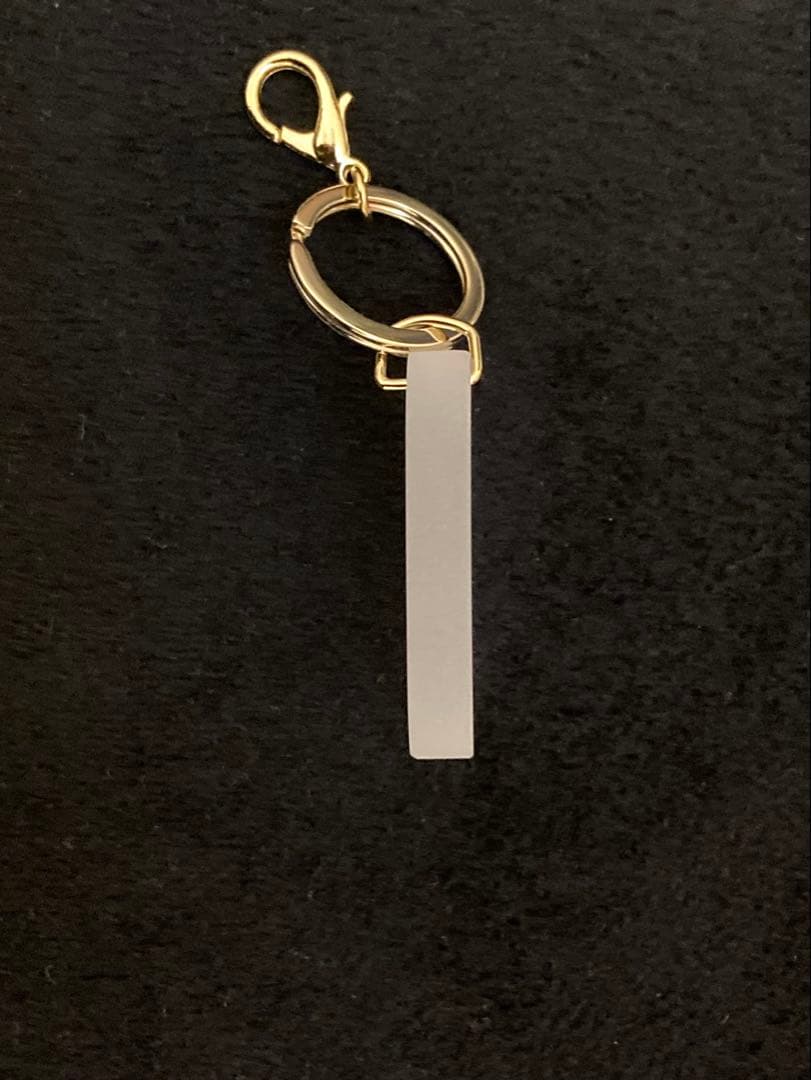 ANA ボーイング737-500 退役記念キーホルダー