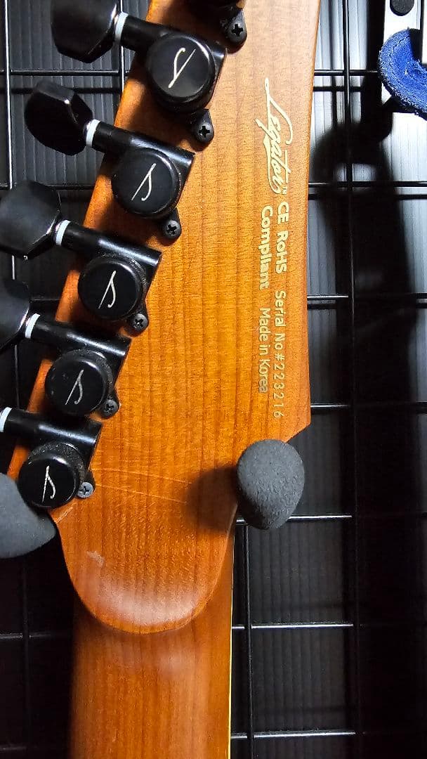 ギター Legator Ninja N7FOD Jupiter Buckeye Burl