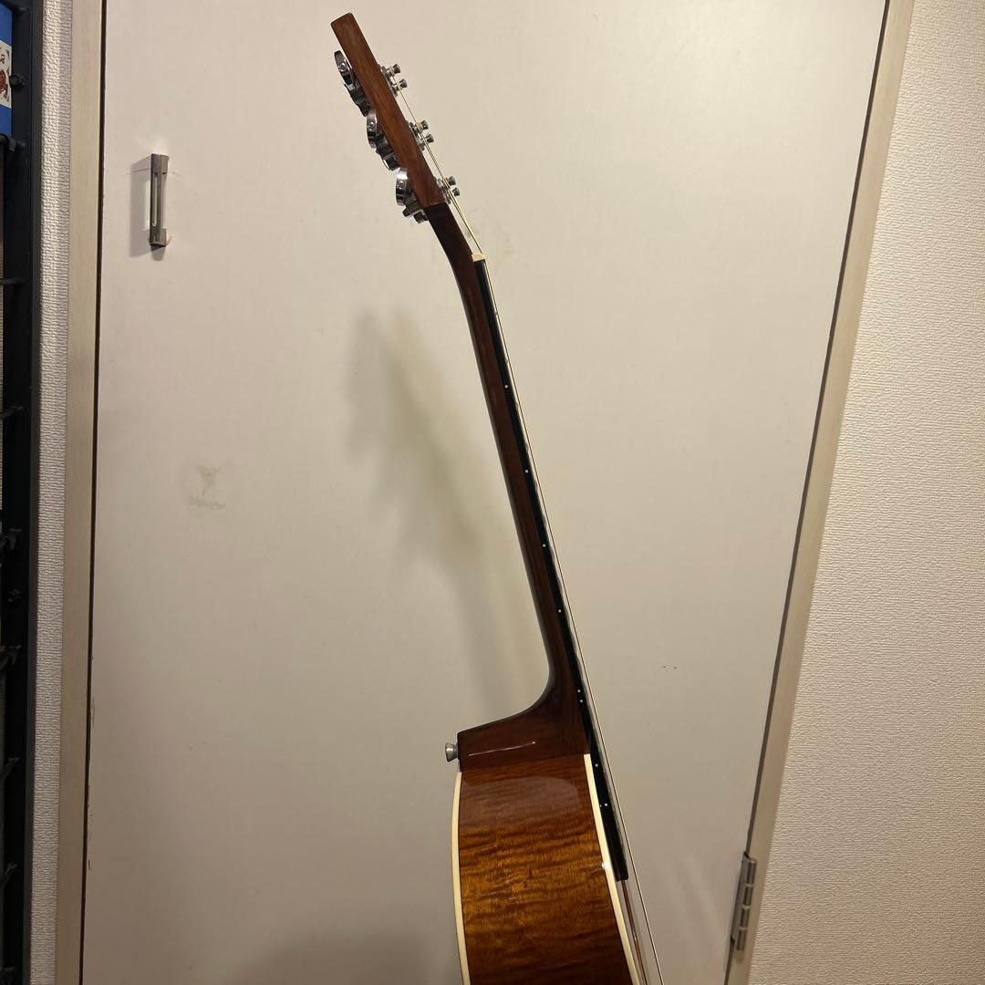 MorrisG-021 RBS 縦ロゴトップ単板フレイムマホガニー純正ギグバッグ