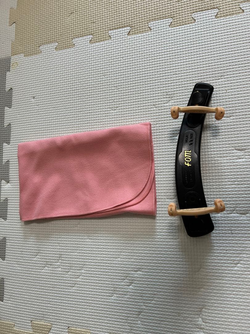 Carlo Giordano カルロジョルダーノ バイオリン VS-F1 4/4