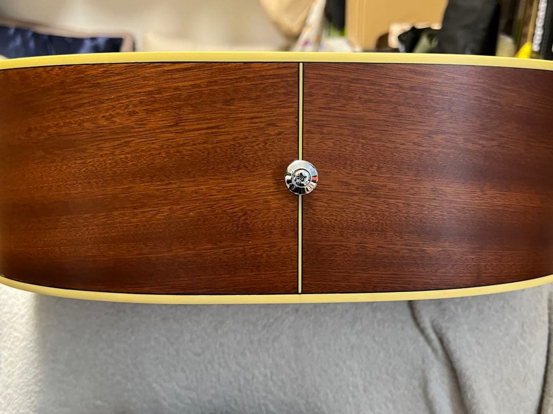 即発送 Ibanez Artwood AW250-LG