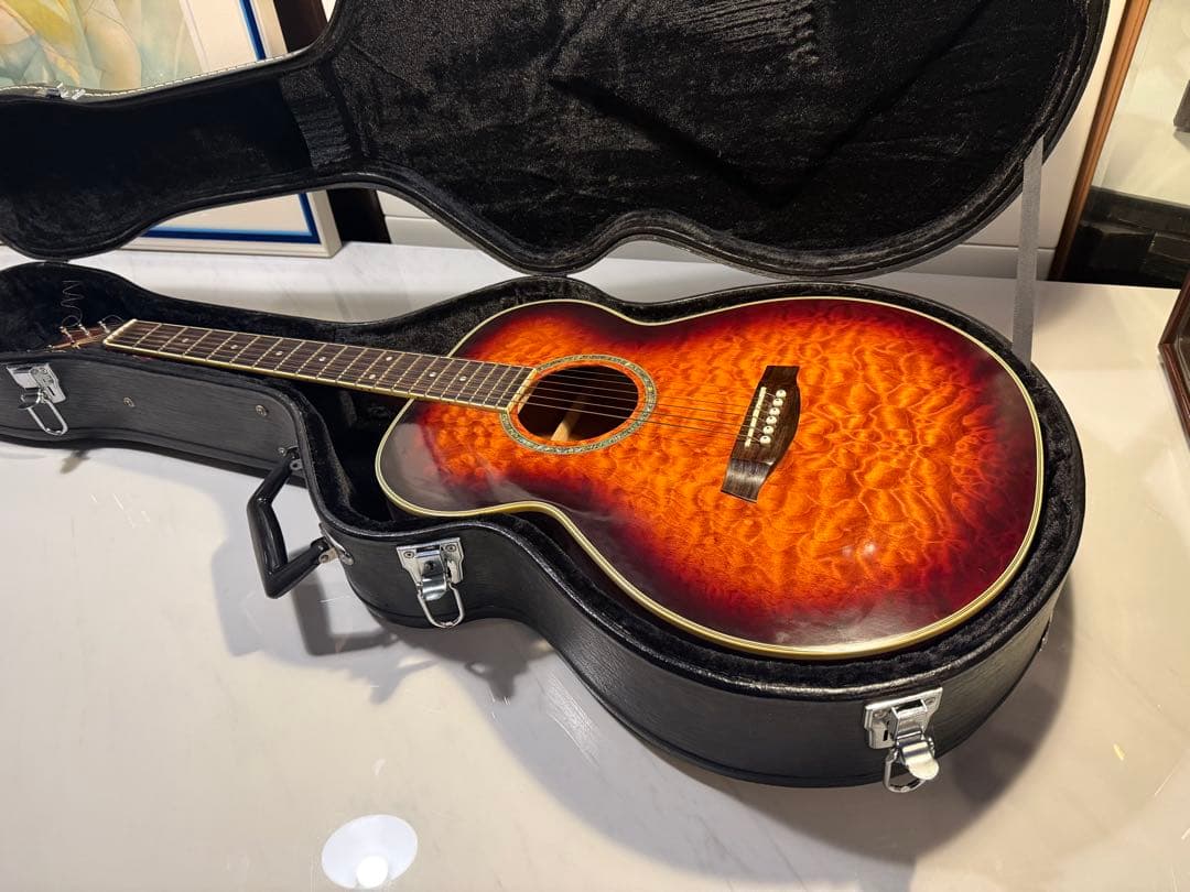 Ibanez アコースティックギター ハードケース付