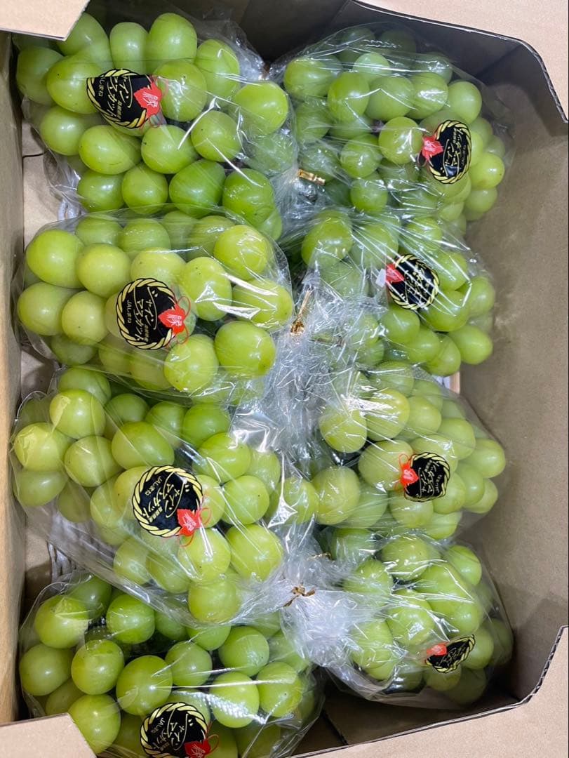 ① 【島根県産】シャインマスカット約5キロ(8房)