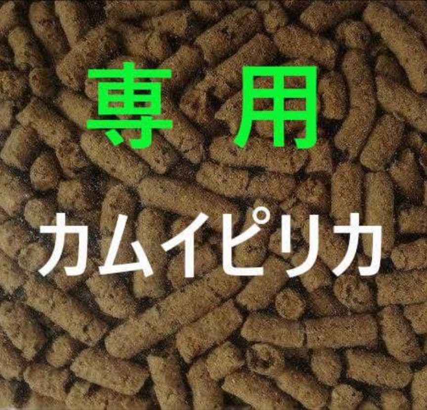 ショコラ カムイピリカ12kg(3kg×4袋)　一生一度は与えたい神フード