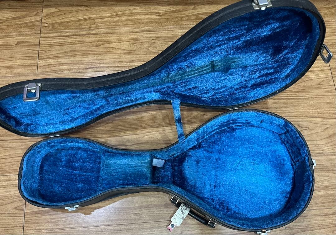 kentucky マンドリン　サンイン入り　日本製