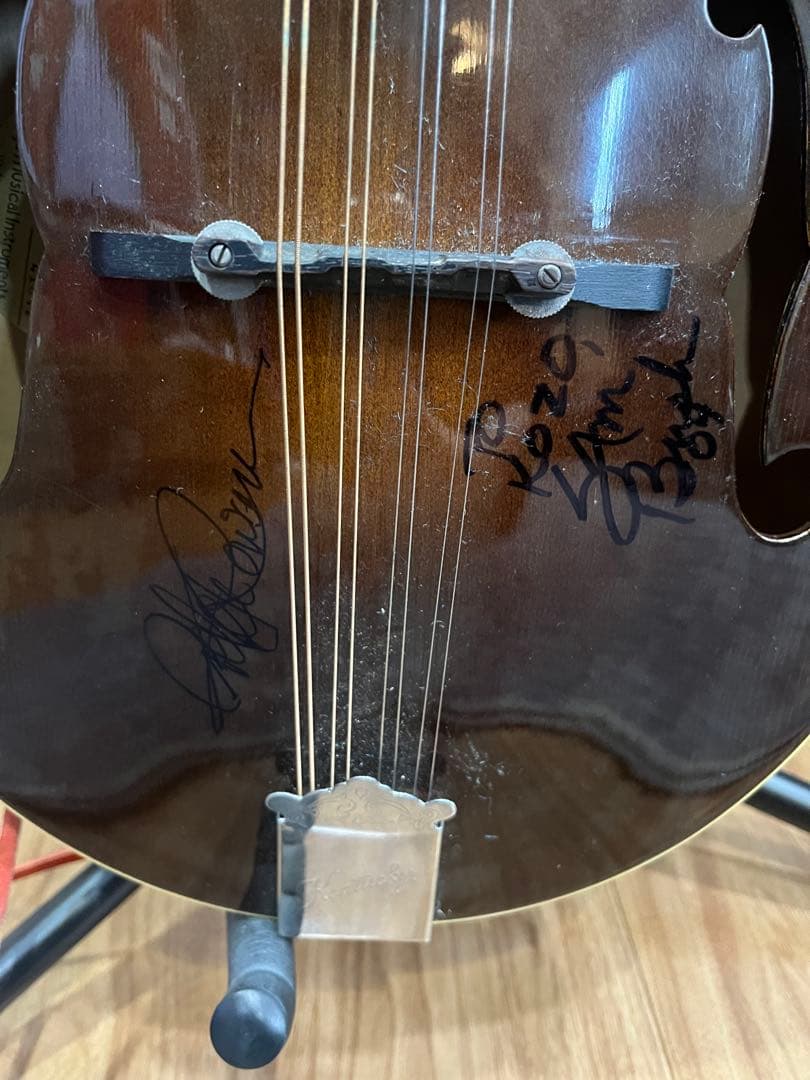 kentucky マンドリン　サンイン入り　日本製