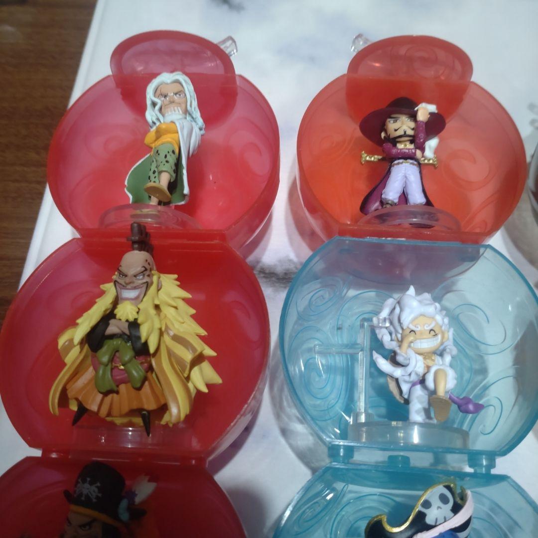 ワンピの実セット