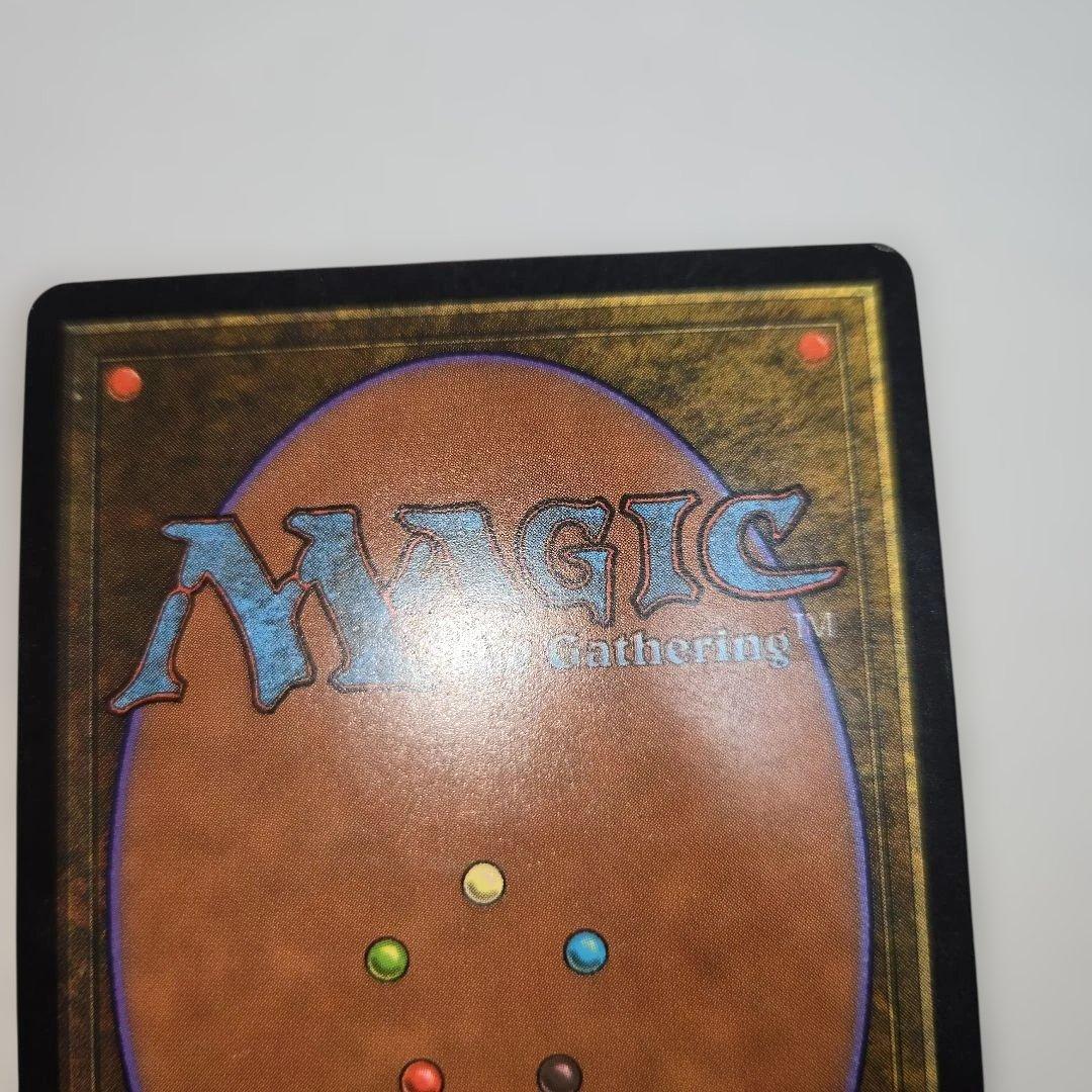 適者生存　日本語版