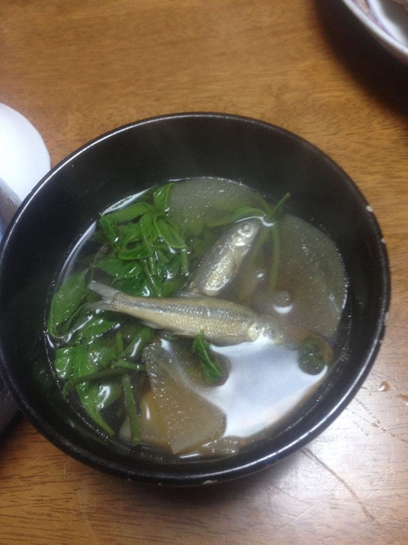 【れんげ米　玄米20.0kg コシヒカリ又はあさひの夢】　栽培期間中農薬不使用