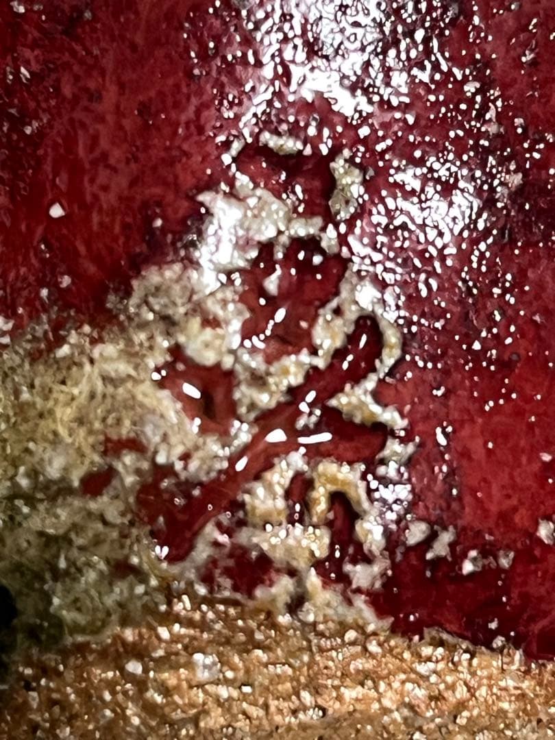 ぐい呑　盃　酒器　常滑焼　水上義介　辰砂釉