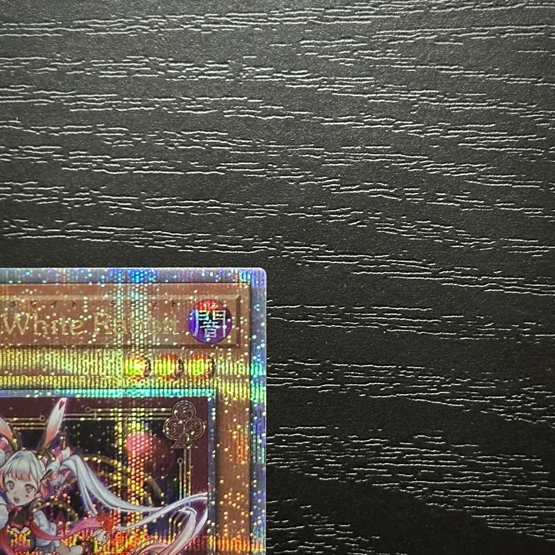 遊戯王 ホワイトラビット マーチヘア 25th セット