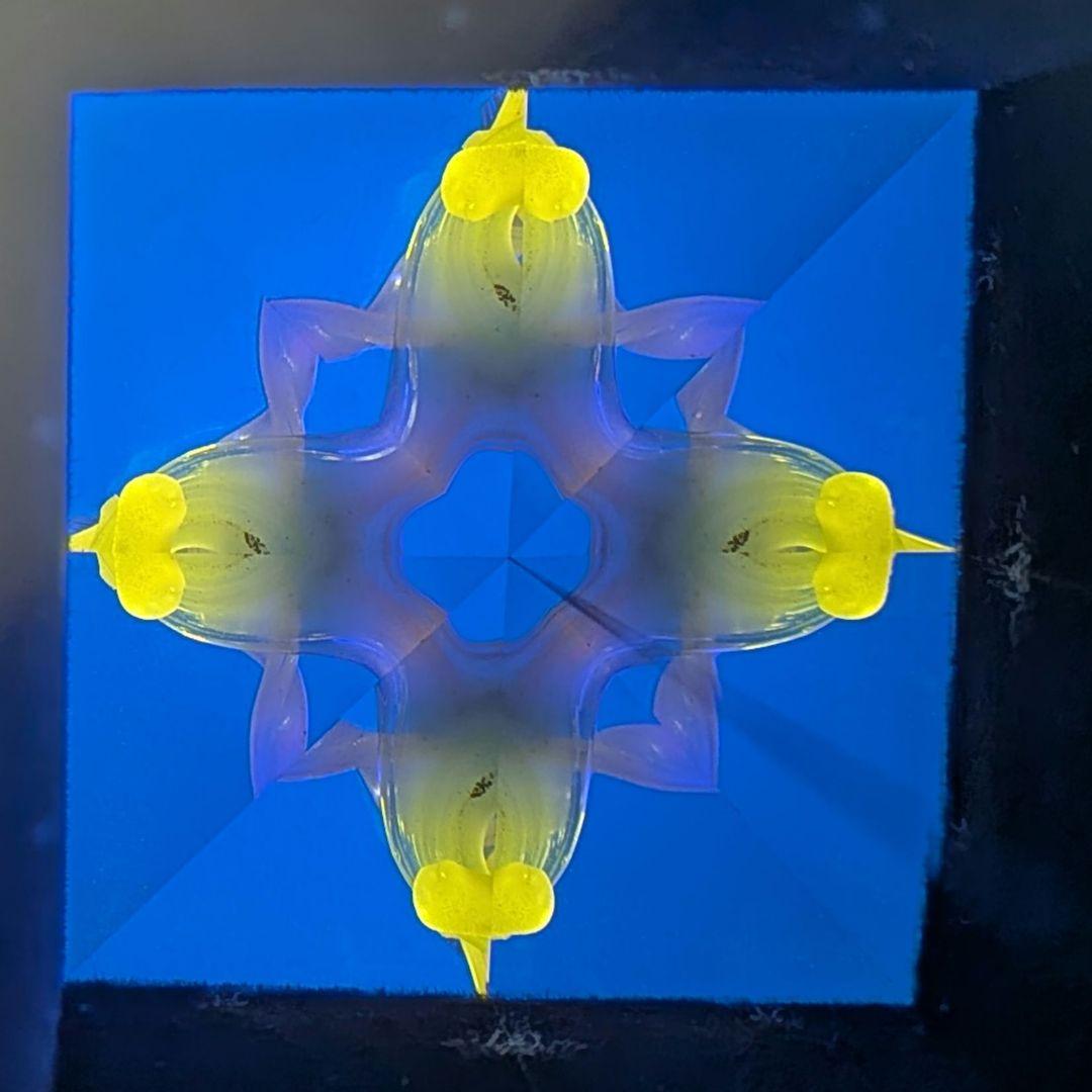 代永正樹さん　万華鏡　１点物