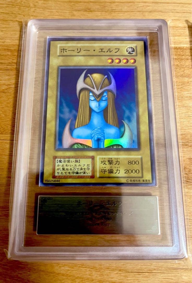 ホーリー・エルフ ARS9