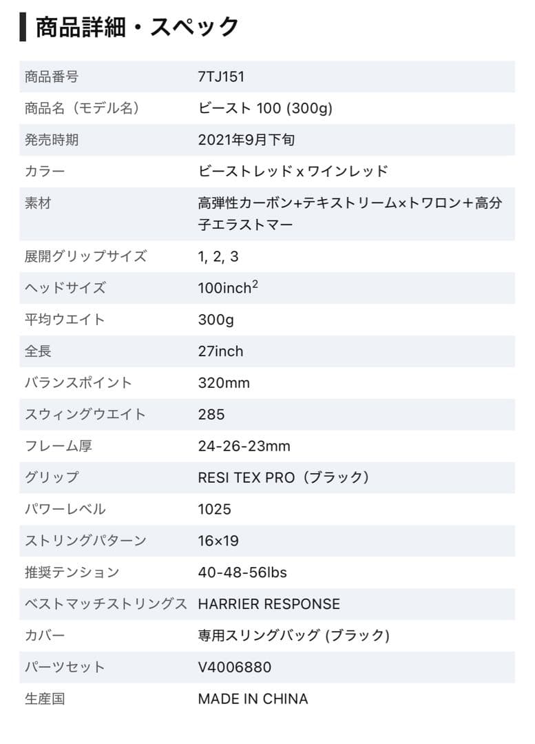 ビースト 100 (300g) テニスラケット G3 2023年9月発売