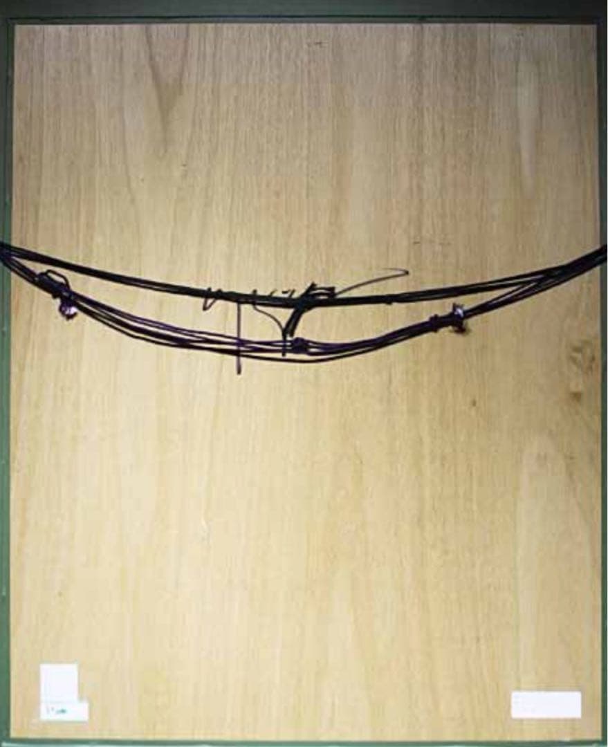 ヒロヤマガタ 【ピーターパン・アンダー・ザ・ムーン】 ディズニー 直筆サイン