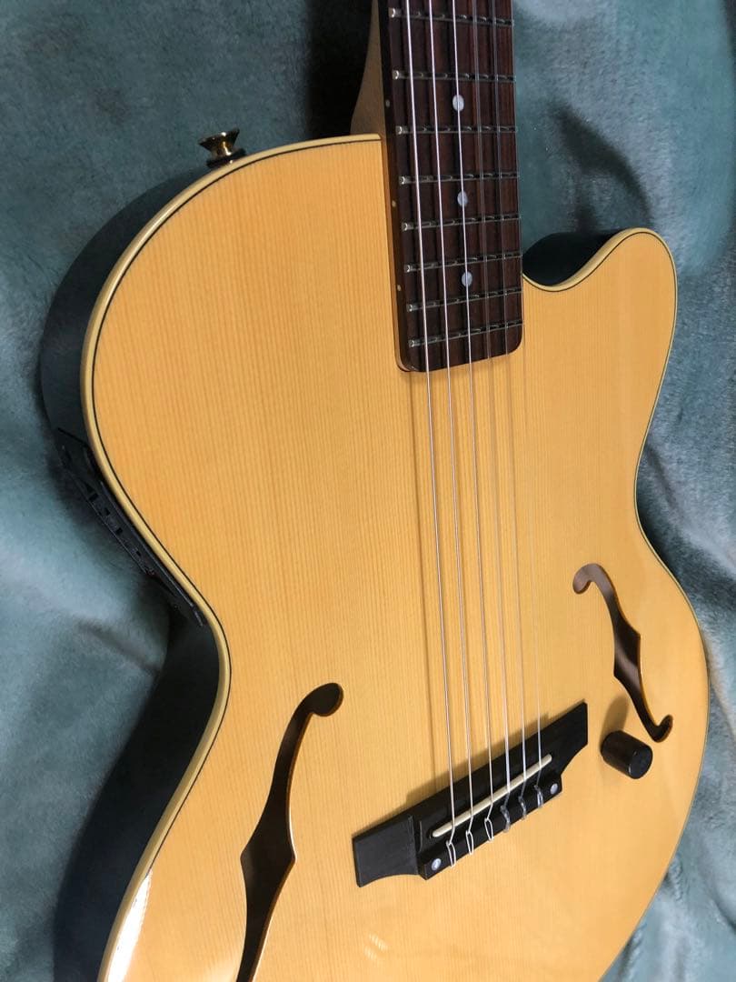 M*9様 ヤマハ　AEX500N エレガット