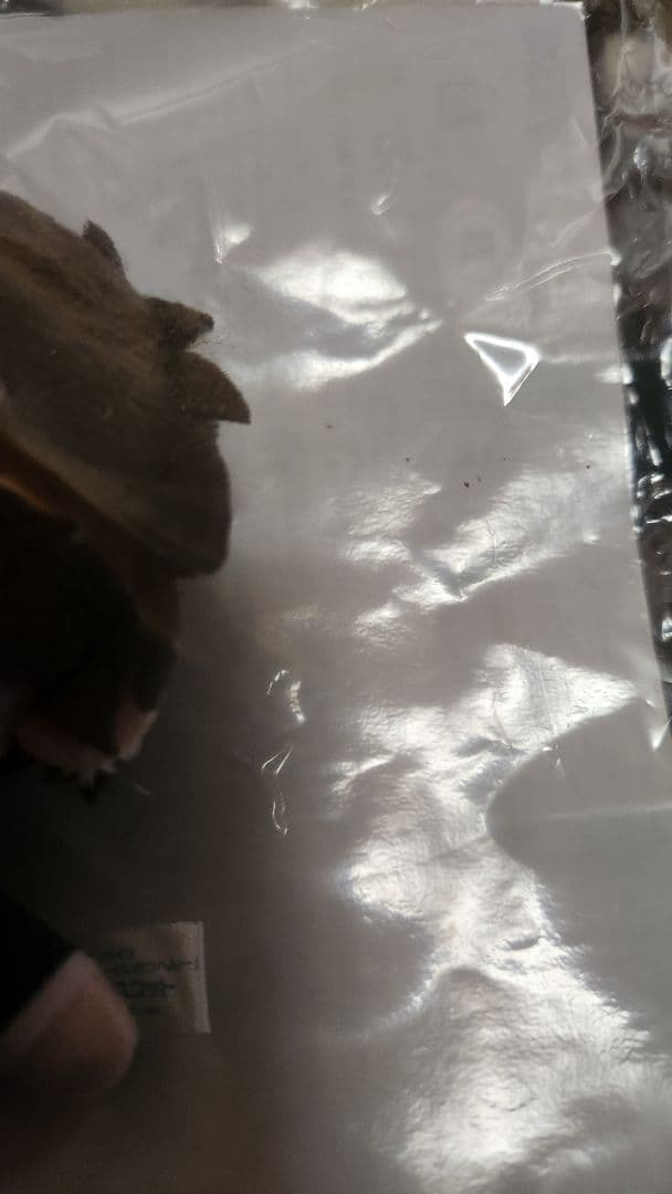 名探偵コナン　けいさつへん　E賞　ぬいぐるみマスコット　松田陣平　萩原研二